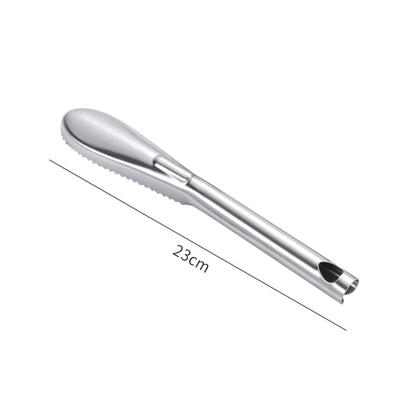 Stainless Steel Fish Scale Remover – Fish Scraper Tool