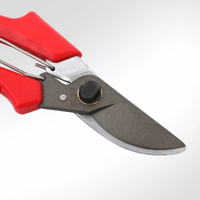 LMcenter's Garden Tools Fruit Tree Gardening Scissors