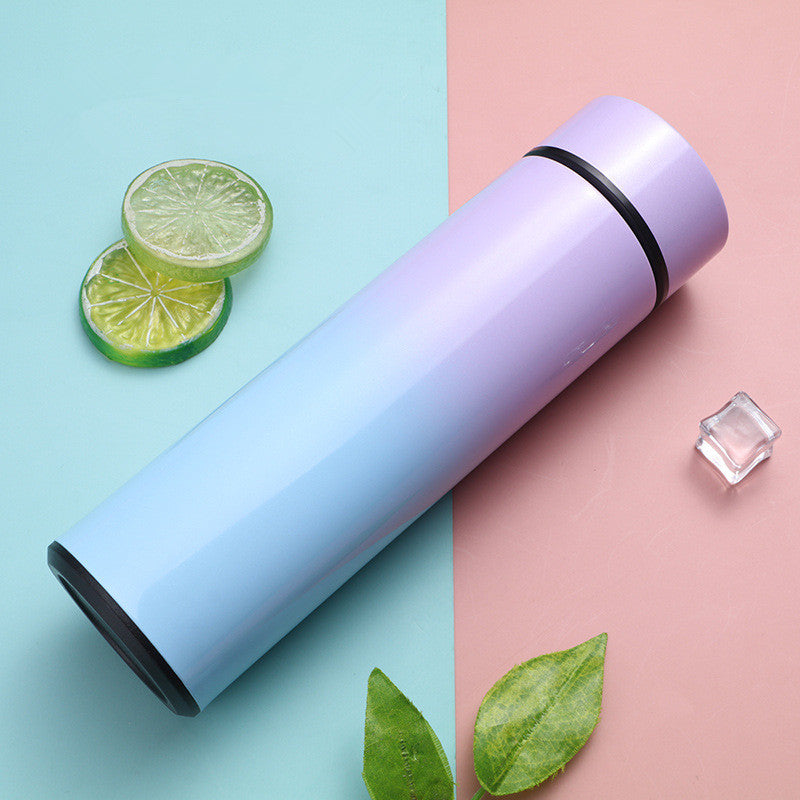Smart Temperature Bottle – Stainless Steel LED Vacuum Flask