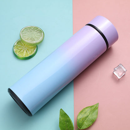 Smart Temperature Bottle – Stainless Steel LED Vacuum Flask