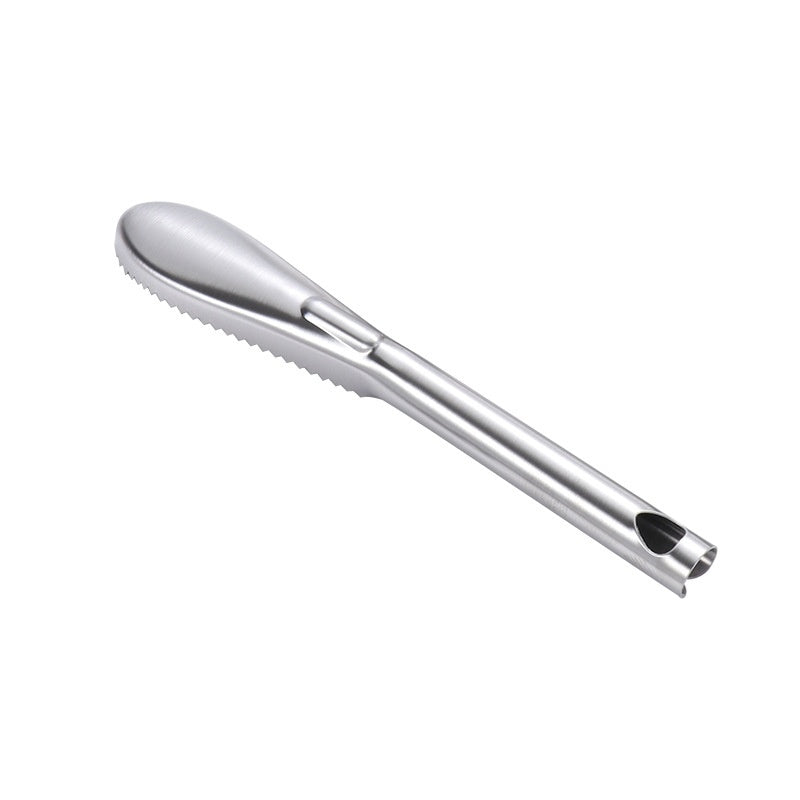 Stainless Steel Fish Scale Remover – Fish Scraper Tool