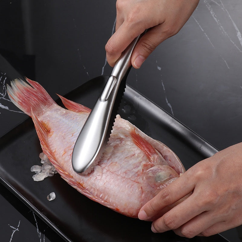 Stainless Steel Fish Scale Remover – Fish Scraper Tool