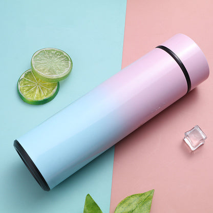 Smart Temperature Bottle – Stainless Steel LED Vacuum Flask