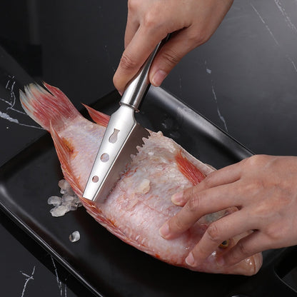Stainless Steel Fish Scale Remover – Fish Scraper Tool
